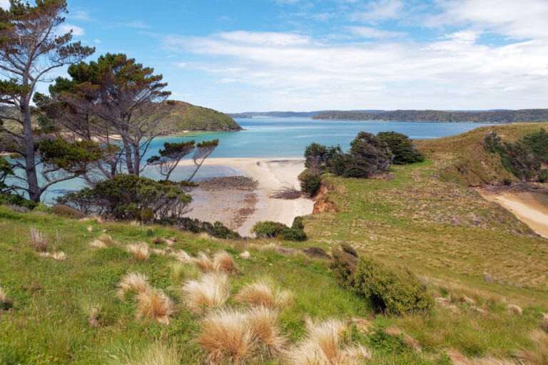 Naturwunder Neuseelands von Süd nach Nord mit Bay of Islands