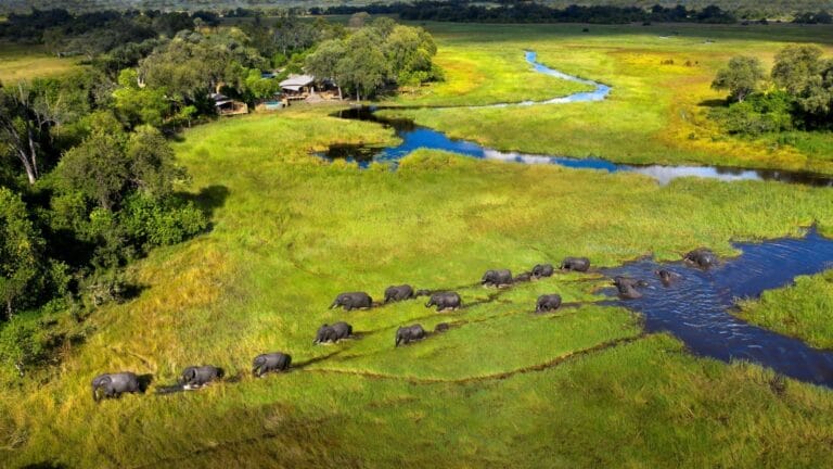 Botswana & Simbabwe – Auf den Spuren der Wildnis